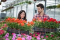 Young smiling florists man and woman working in the greenhouse Royalty Free Stock Photo