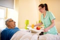 Young smiling nurse brings breakfast to senior patient Royalty Free Stock Photo