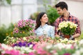 Young smiling people florists working in the garden Royalty Free Stock Photo