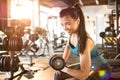 Young smiling woman lifting steel dumbbell in gym. Royalty Free Stock Photo