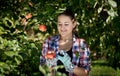 Young smiling woman picking apples at garden Royalty Free Stock Photo