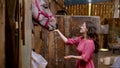 Young smiling woman in pink dress feeding brown horse in paddock Royalty Free Stock Photo