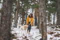 Young smiling woman in yellow jacket with big kind white dog Labrador walking in winter forest Royalty Free Stock Photo