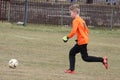 A young soccer goalkeeper kicking the ball