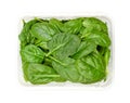 Young spinach leaves, fresh picked Spinacia oleracea, in plastic container