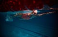 Young sportive woman, professional swimmer training in swimming pool indoor. Wearing cap and goggles. Underwater view Royalty Free Stock Photo