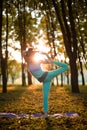 A young sports girl practices yoga in a quiet green forest in autumn at sunset, in a yoga asana pose. Meditation and oneness with Royalty Free Stock Photo