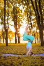 A young sports girl practices yoga in a quiet green forest in autumn at sunset, in a yoga asana pose. Meditation and oneness with Royalty Free Stock Photo