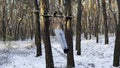 Young sportsman doing static exercises on horizontal bar at forest. Athletic man working out at winter nature. Sportive
