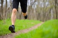 Young Sportsman Running on the Spring Forest Trail in Morning. Legs Close up View Royalty Free Stock Photo