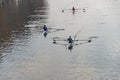 Young sportsmen rowing in single boats on a river.