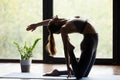 Young sporty woman doing Ustrasana backbend exercise