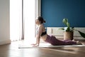 Young sporty woman practicing yoga at home, doing upward facing dog exercise, Urdhva mukha shvanasana pose, working out, wearing Royalty Free Stock Photo