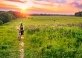 Young sporty woman riding a bicycle at sunset. Sporty girl goes uphill with bike and enjoy the beautiful field of Royalty Free Stock Photo