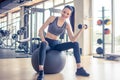 Young sporty woman working out with dumbbells while sitting on fitness ball at gym. Royalty Free Stock Photo