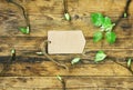 Young spring branches with leaves, paper tag Royalty Free Stock Photo