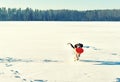 The young Springer Spaniel plays with toy flying disk on snow field. Royalty Free Stock Photo