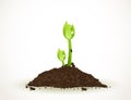 A Young Sprout in Dirt Isolated on White, Eco-friendly abstract background vector stock illustration Royalty Free Stock Photo