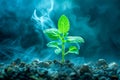 Young Sprout Emerging from Soil Against a Mysterious Blue Misty Background, Symbolizing New Life and Growth