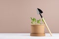 Young sprout potted in pot with shovel for gardening on white wood table and beige wall. Earth day background.