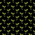 Young Sprout seamless pattern isolated on black background Royalty Free Stock Photo