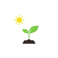 Young sprout in soil with sun colorful vector icon.