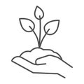 Young sprout with three leaves in hand thin line icon, save nature concept, seedling with handful of soil on human palm Royalty Free Stock Photo