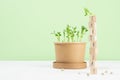 Young sprouts potted in pot, seeds peas, lettering on wood cubes - Earth day on white wood table and beige wall. Save planet.