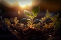 Young sprouts, seedlings growing. New life concept. Green plant growing in good soil. Banner with copy space Royalty Free Stock Photo