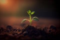 Young sprouts, seedlings growing. New life concept. Green plant growing in good soil. Banner with copy space Royalty Free Stock Photo