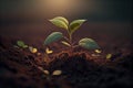 Young sprouts, seedlings growing. New life concept. Green plant growing in good soil. Banner with copy space Royalty Free Stock Photo