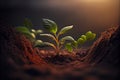 Young sprouts, seedlings growing. New life concept. Green plant growing in good soil. Banner with copy space Royalty Free Stock Photo