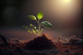 Young sprouts, seedlings growing. New life concept. Green plant growing in good soil. Banner with copy space Royalty Free Stock Photo