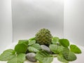 srikaya fruit photographed with smooth leaves and stones