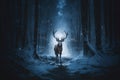 A young stag walking on a path in a dark wood illuminated by moon in a winter evening