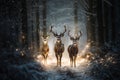 Young stags standing on the path in the deep wood while snowing lit by moonlight