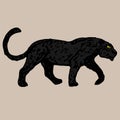 Young strong black panther Royalty Free Stock Photo