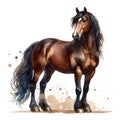 A young, strong brown stallion. Horse. The mane and tail develop beautifully. Watercolor paint. Banner. Close-up