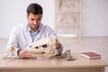 Young male paleontologist examining ancient animals at lab Royalty Free Stock Photo