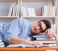 Young student taking break and falling asleep Royalty Free Stock Photo