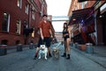 Young stylishly dressed man and woman with an athletic figure with two american bully dogs on city streets Royalty Free Stock Photo
