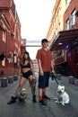 Young stylishly dressed man and woman with an athletic figure with two american bully dogs on city streets Royalty Free Stock Photo