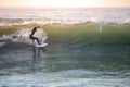 Young surfer enjoying waves Royalty Free Stock Photo