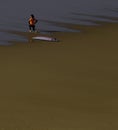 Young surfer girl exercise in the low tide beach sand, Odeceixe, Alentejo.