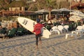 Young surfer holding a surf boards on Herzliya beach,Israel.
