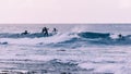 Young surfers takes the waves, vintage style Royalty Free Stock Photo