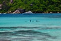 Baie Lazare, Mahe Island Seychelles - November 15th 2019: Surfers waiting for a waves. Royalty Free Stock Photo