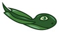 A young tadpole, vector or color illustration