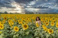 Young teen girl standing in field surrounded by sunflowers at sunset