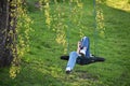 Girl texting phone and resting in nest swing outdoors. Royalty Free Stock Photo